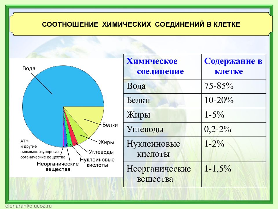 Химический состав клетки схема клетки