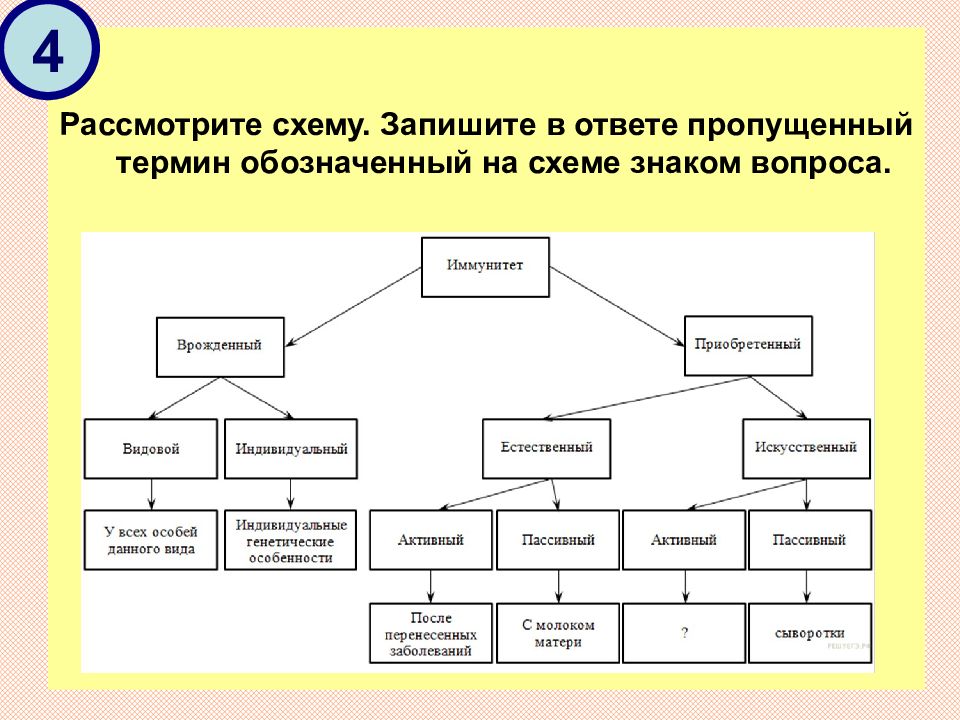 Пропущенный термин