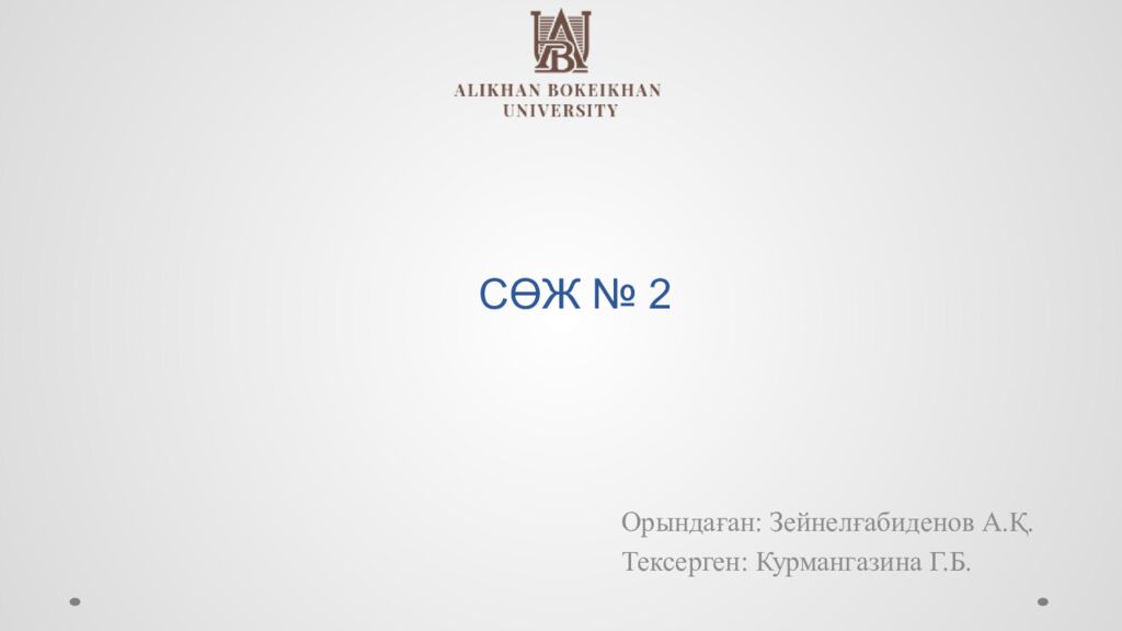 СӨЖ № 2