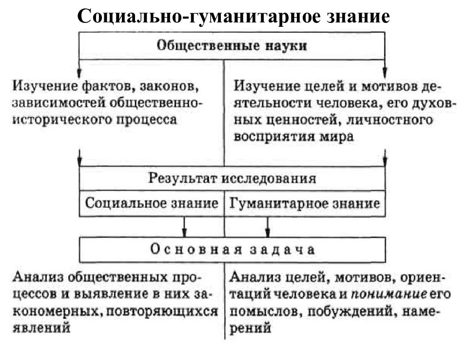 Социогуманитарный проект это