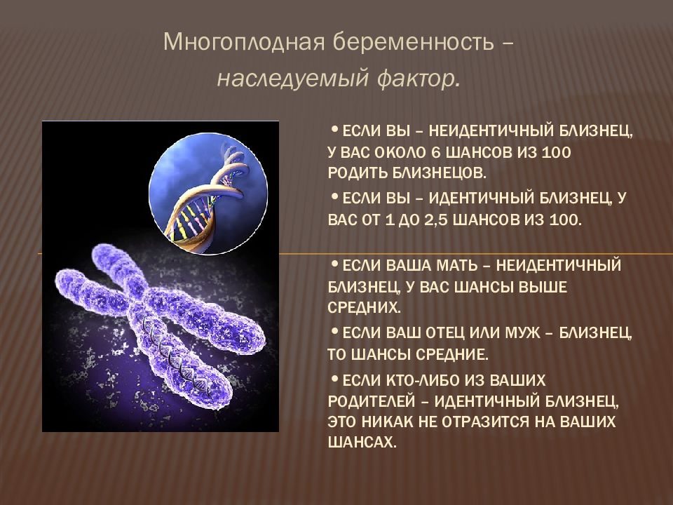 Близнецы проект