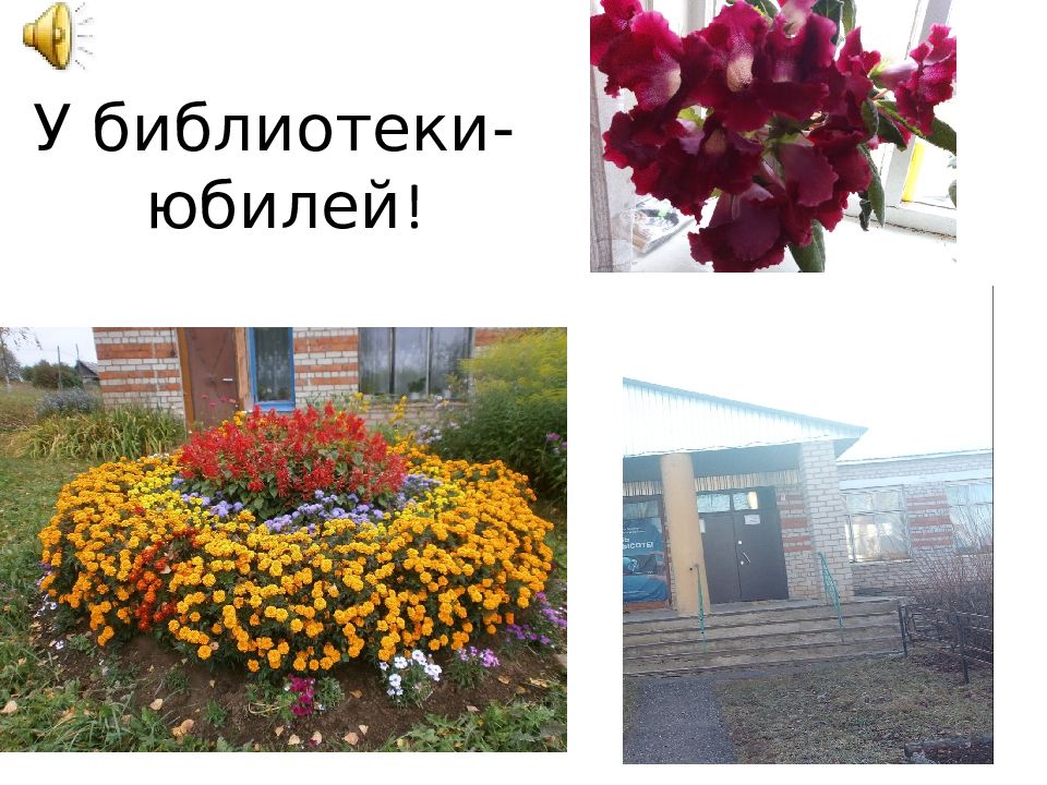 У библиотеки- юбилей !