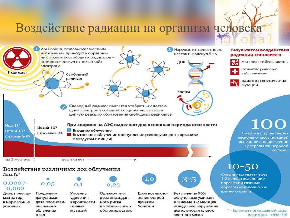 Влияние радиации на организм человека проект