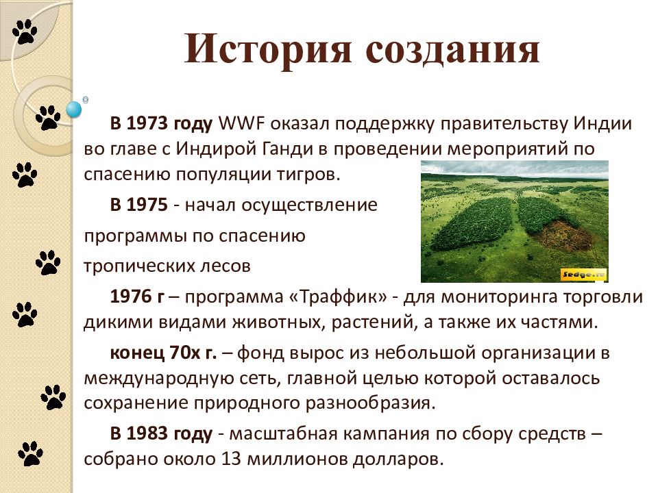 Фонд природы. Всемирный фонд дикой природы в России план сообщения. История возникновения Всемирного фонда дикой природы. Фонд дикой природы в России сообщение. Презентация экологические организации Всемирный фонд дикой природы.