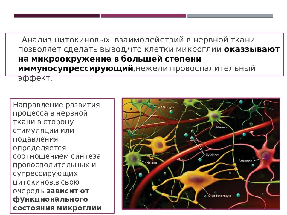 Воспалительные процессы нервной системы. Взаимосвязь нервной и эндокринной систем. Взаимосвязь нервная иммунная и эндокринная системы. Взаимодействие нервной, эндокринной и генетической систем. Препараты влияющие на эндокринную и нервную систему.