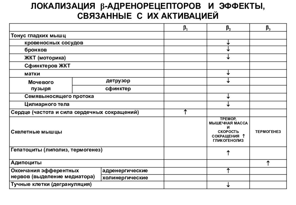 Локализация адренорецепторов. Адренорецепторы локализация и эффекты. Средства стимулирующие адренорецепторы. Адренергические средства таблица. Адренорецепторы.