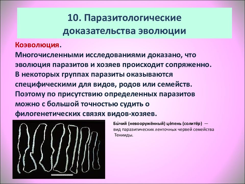 Доказательства эволюции примеры. Паразитологический метод доказательства эволюции. Биологические доказательства эволюции. Цитологические методы доказательства эволюции. Методы доказательства эволюции таблица.