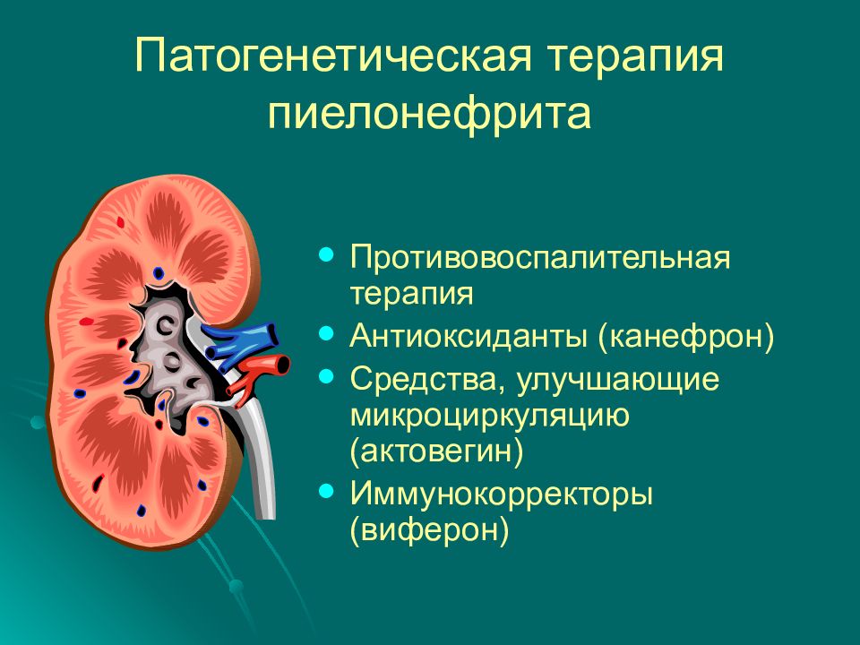 Пиелонефрит у детей картинки для презентации