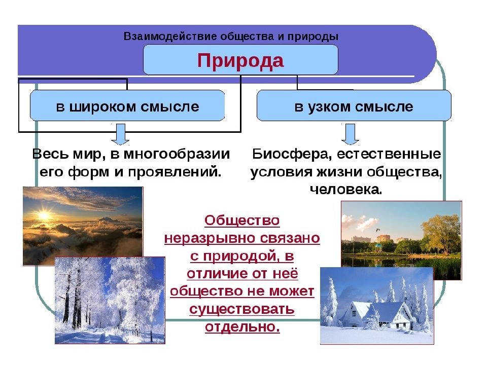 Взаимодействие общества и природы картинки
