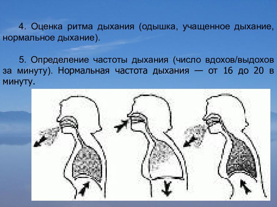 На рисунке изображены вдох и выдох человека определите