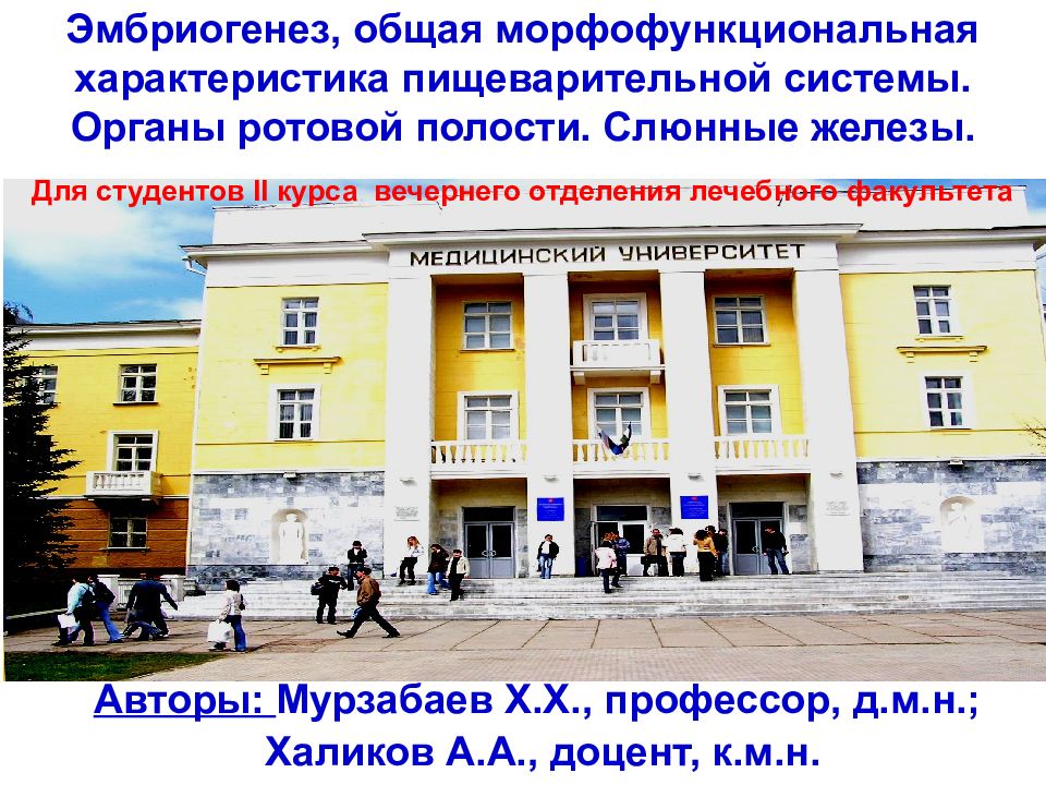 Эмбриогенез, общая морфофункциональная характеристика пищеварительной системы. Органы ротовой полости. Слюнные железы.