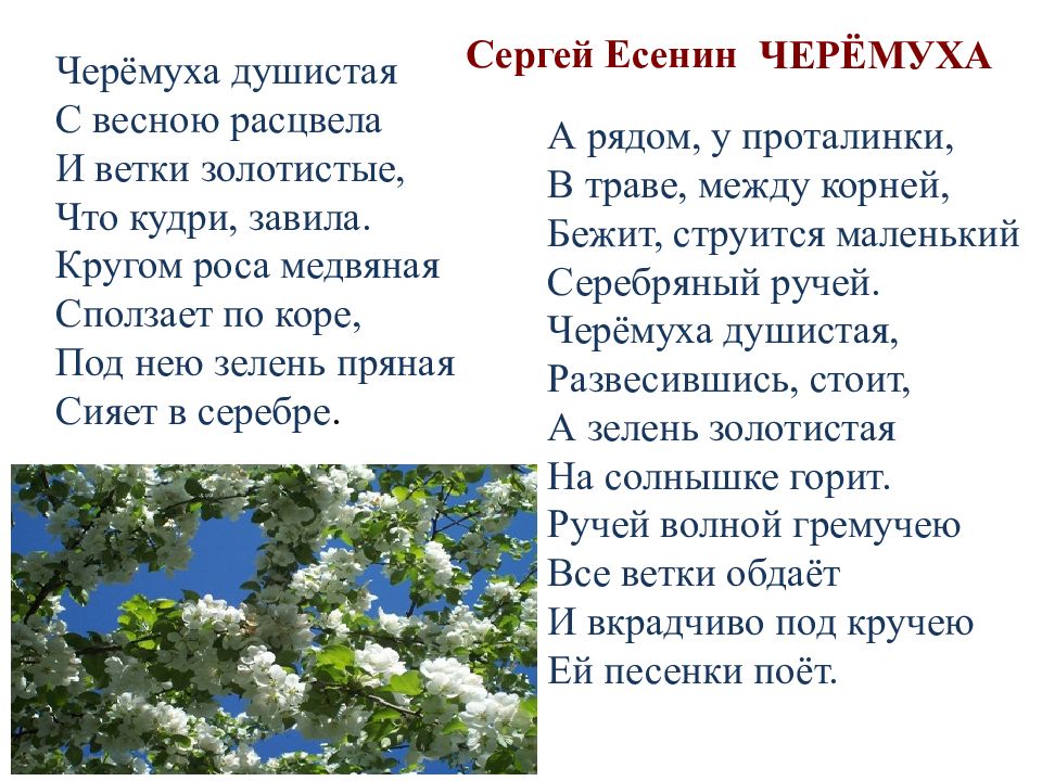 Весна в творчестве русских поэтов проект