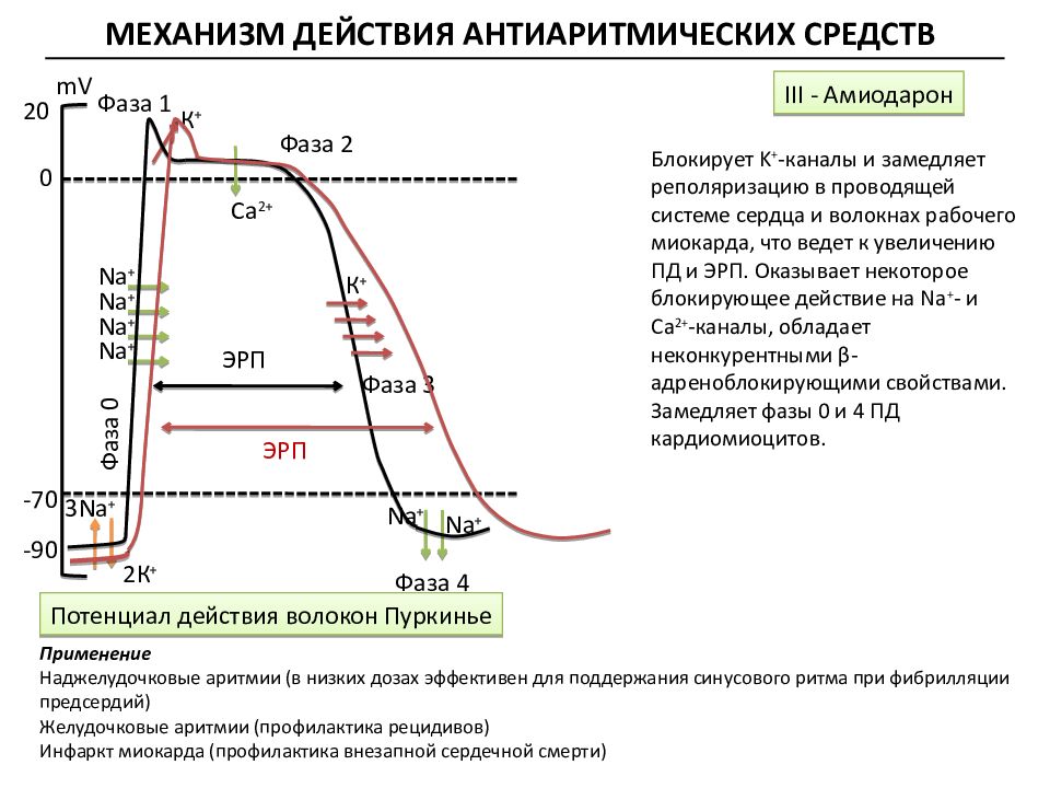 Антиаритмические препараты фармакология презентация