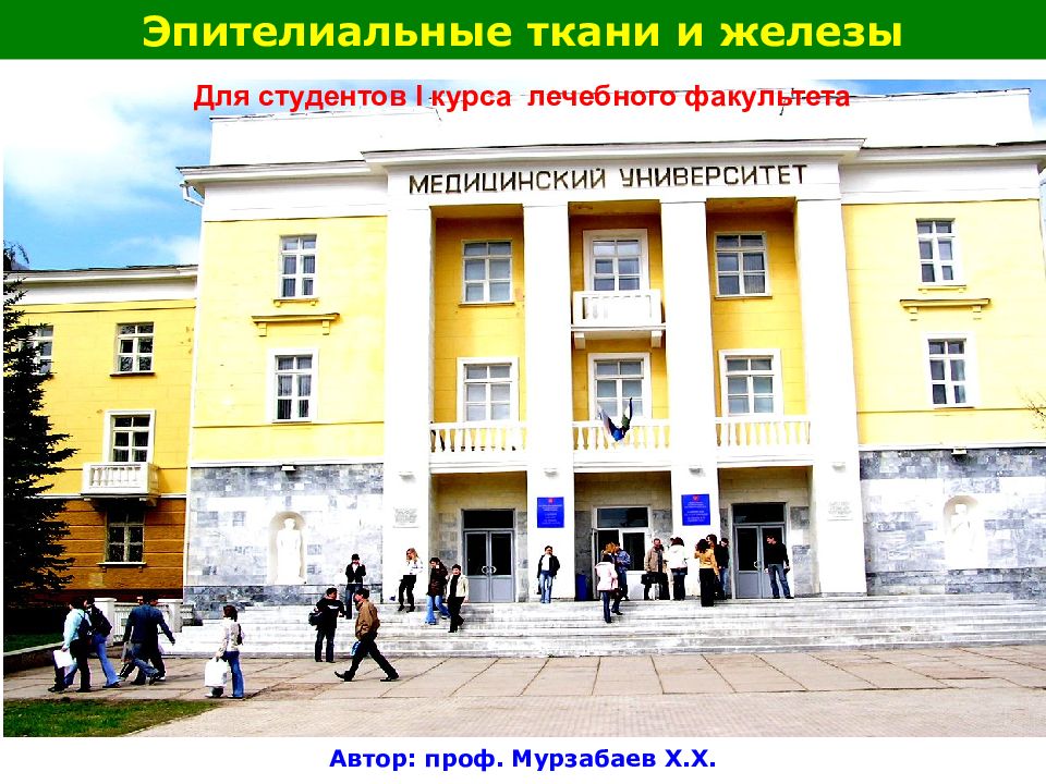 Эпителиальные ткани и железы Автор: проф. Мурзабаев Х.Х. Для студентов I курса