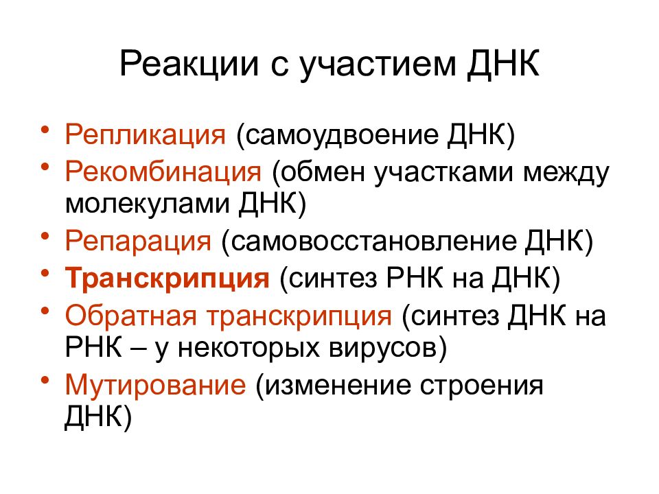 Процессы с участием днк. Репликация самоудвоение ДНК. Самоудвоение молекулы ДНК происходит. Процесс самоудвоения ДНК. Процесс самоудвоения олекулыднк.