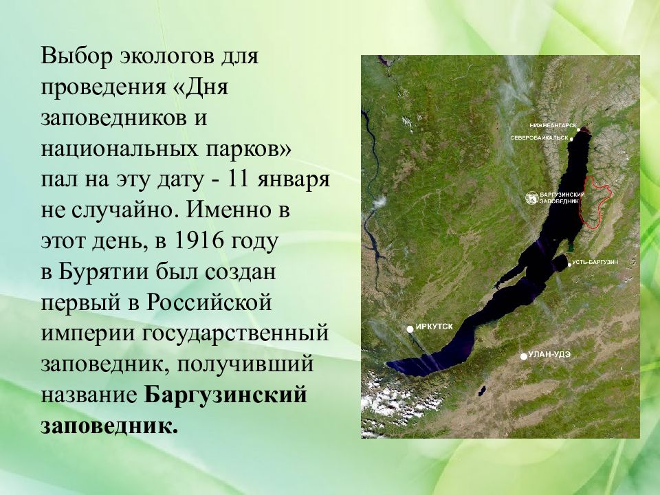 Презентация особо охраняемые природные территории амурской области