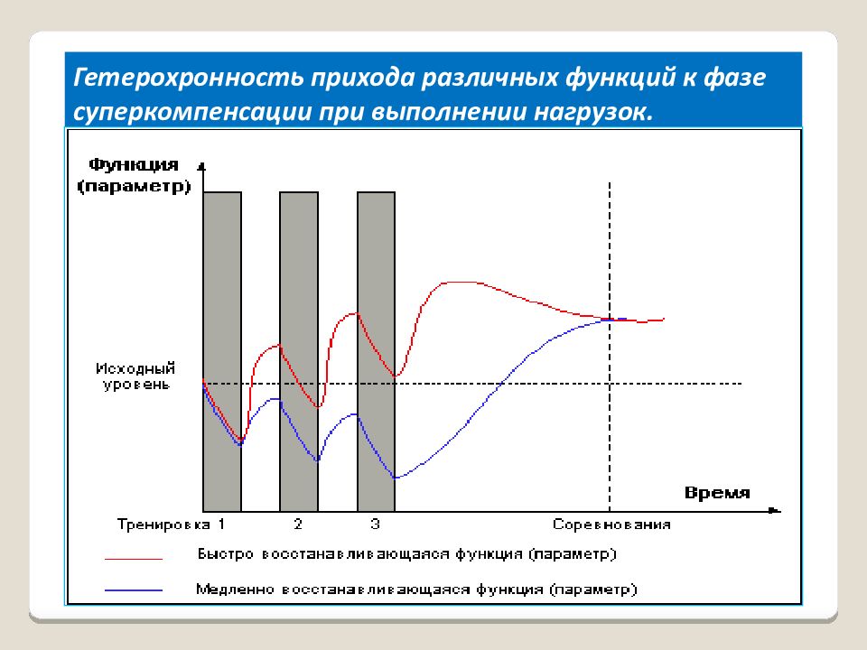 Гетерохронность процесса. Гетерохронность это. Неравномерность и Гетерохронность. Гетерохронность роста и развития. Гетерохронность это в психологии.