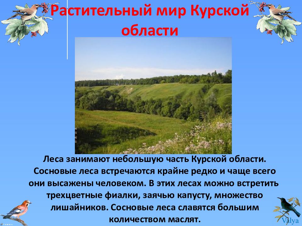Красная книга курской области проект