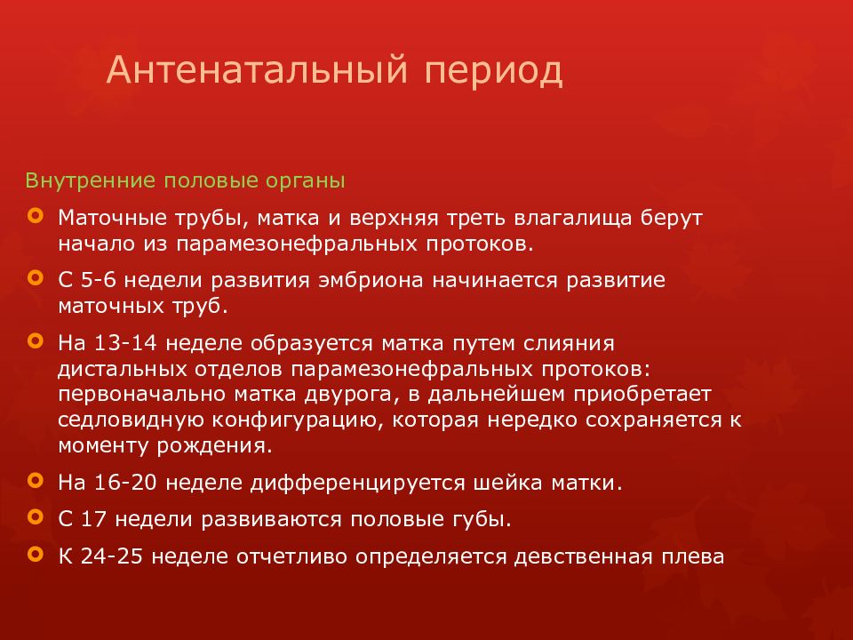 Менструальный цикл Антенатальный период