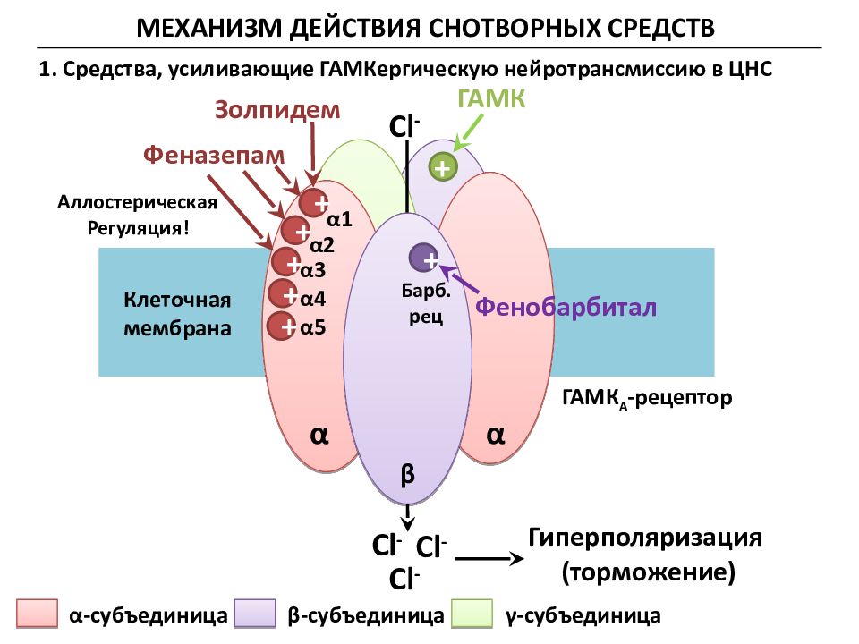 Механизм действия гамк схема