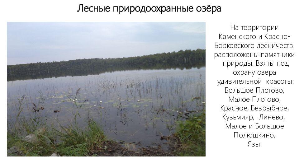 Каменки нижегородская область. Погода каменки нижегородская область на 14. Деревня каменка нижегородская область. Погода каменки нижегородская область на 14. Деревня каменка нижегородская область.