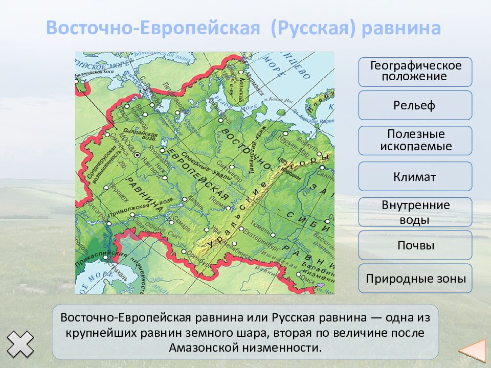 Восточно европейская русская равнина картинки