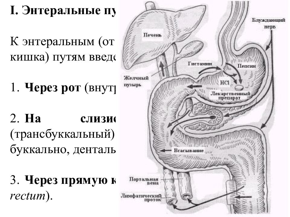 Энтеральный путь