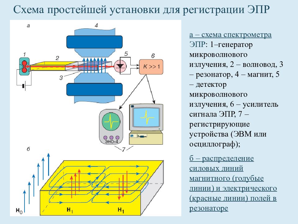 Спектроскопия эпр ямр презентация