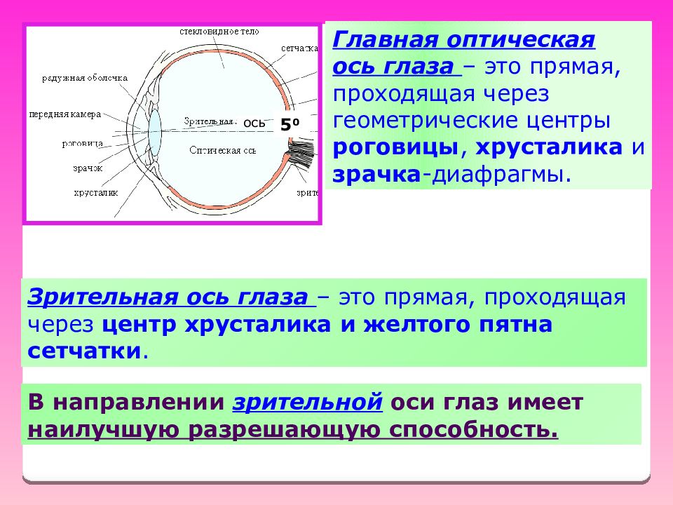 Воображаемая прямая проходящая через центр. Зрительная ось глаза. Оптическая ось глаза. Анатомическая и оптическая ось глаза. Главная оптическая и Зрительная оси глаза.