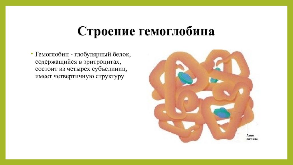 Белки гемоглобина. Гемоглобин это глобулярный белок. Какова химическая структура гемоглобина. Строение гемоглобина а1. Гемоглобин структура белка.