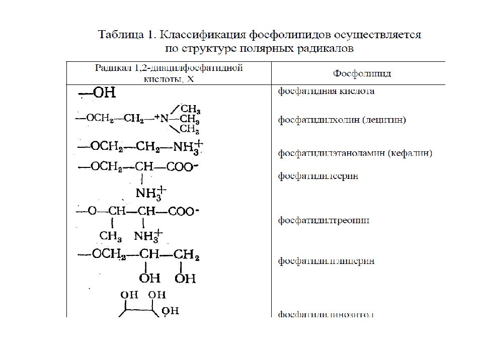 Полярные радикалы. Фосфатидилтреонин. Гликосфинголипиды. Кефалин с NH группами на конце. Биохимия и биофизика.