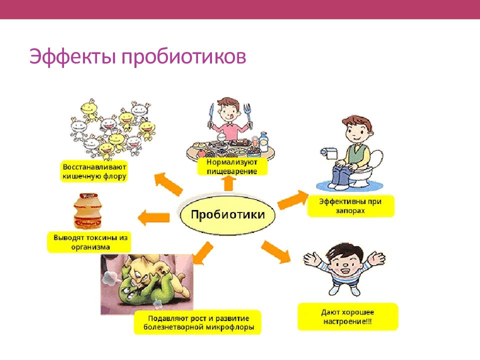 Роль пробиотиков в организме человека презентация