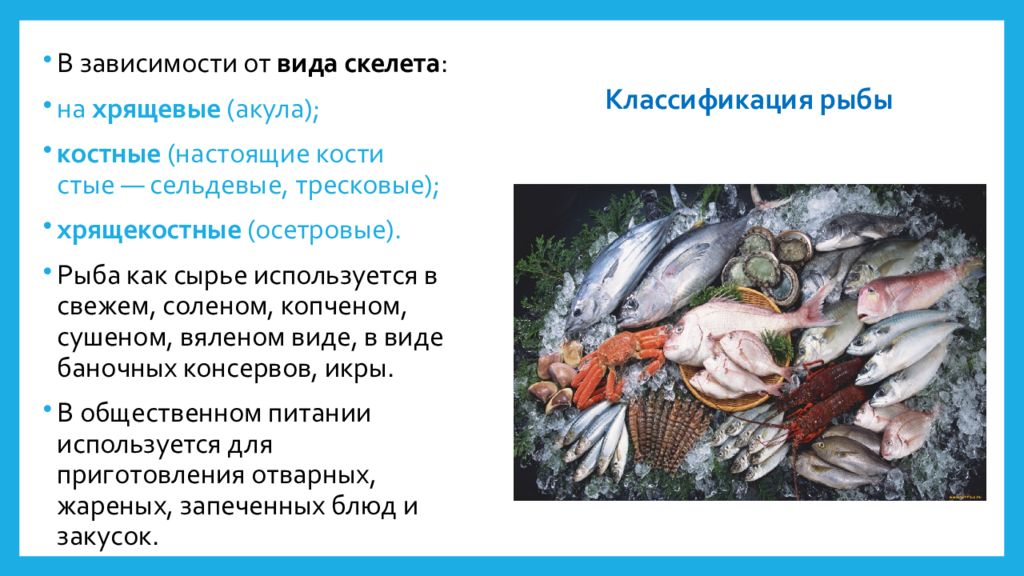 Рыба с костным скелетом виды. Характеристика хрящекостных рыб. Классификация рыбы по образу жизни. Хрящекостные рыбы особенности. Подкласс хрящекостные рыбы характеристика.