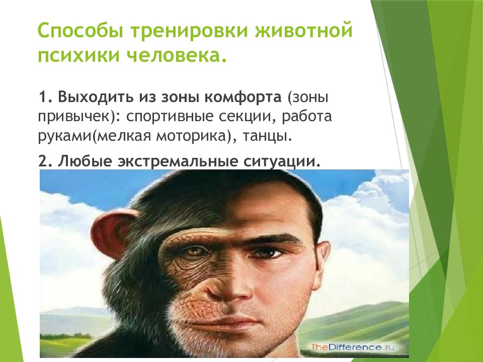 Тренинг животных. Человек существо психическое. Юмор из сравнительной психологии. Сравнение психики животных и человека кроссворд.