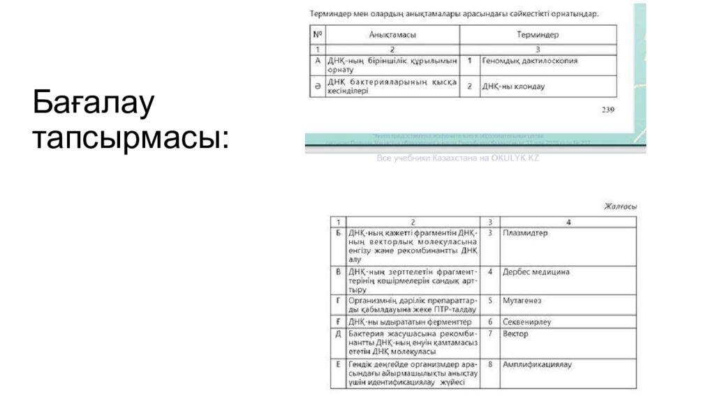 Бағалау тапсырмасы: