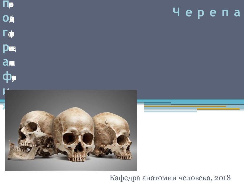 Т ревожная о бъемная п отрясная о балденная г рафическая р азвивающая а нимальная ф игурная и ллюстративная я ркая