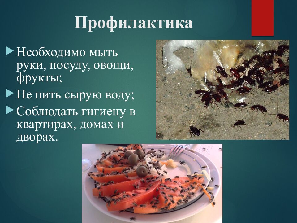 Профилактика
