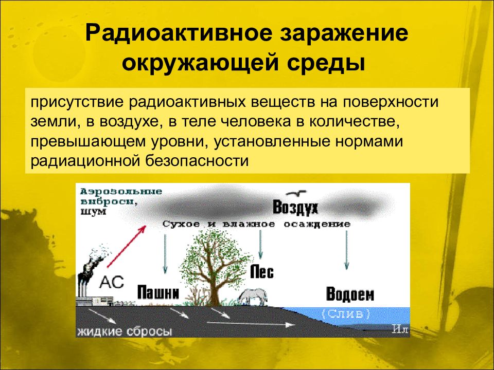 Влияние радиоактивности на окружающую среду проект