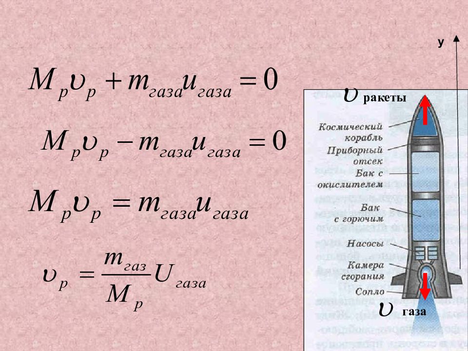 Реактивное движение в природе физика проект