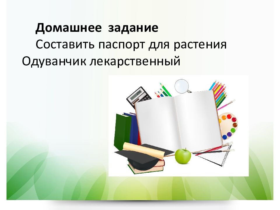 Фрагмент презентации в котором содержатся объекты презентации