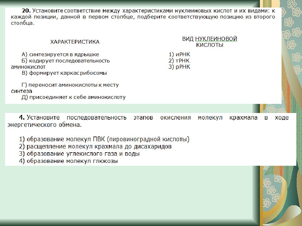 Тест по биологии по теме обмен веществ. Задания ЕГЭ по теме энергетический обмен биология 2024.