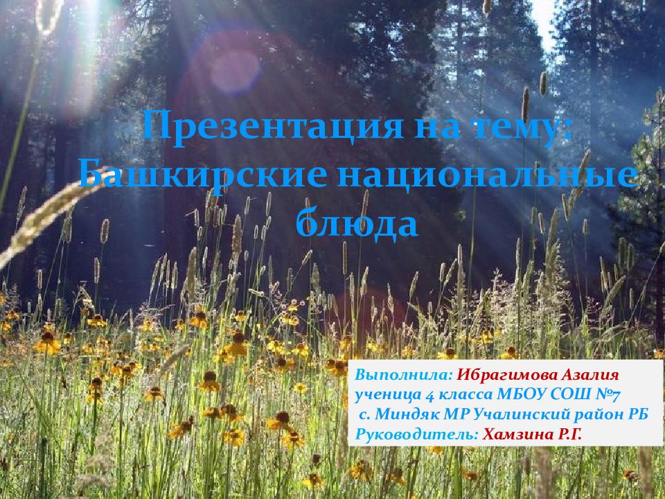 Презентация на тему: Башкирские национальные блюда Выполнила: Ибрагимова
