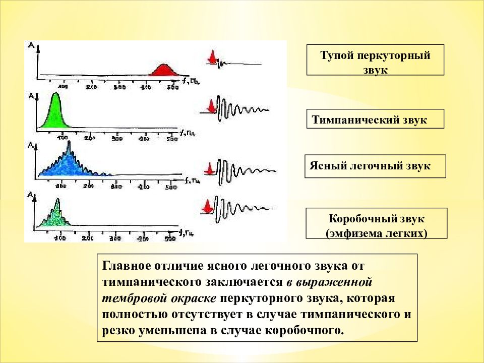 Перкуторно звук. Звуковая характеристика ясного легочного звука. Коробчаты перкуртоный звук. Коробочный и тимпанический звук. Коробочный перкуторный звук.