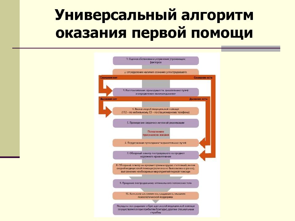 Универсальная схема оказания первой помощи пострадавшим на месте происшествия