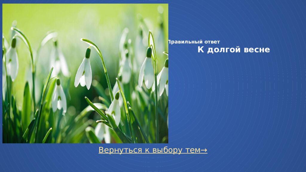 Правильный ответ К долгой весне