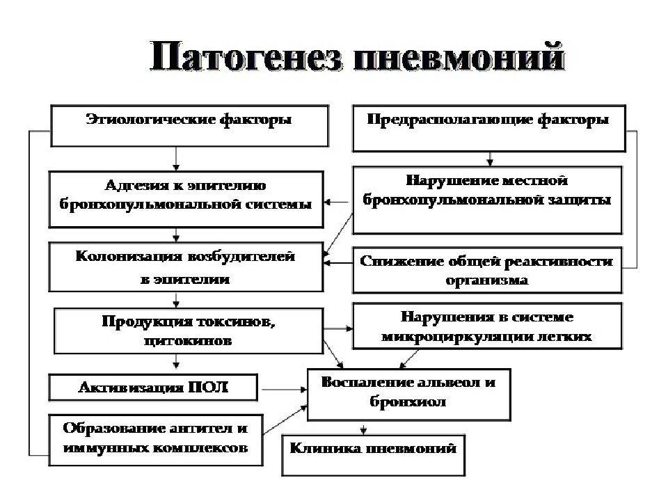 Пути инфицирования при пневмонии схема