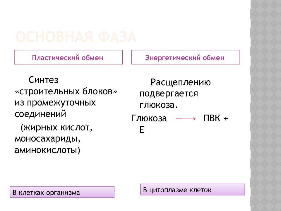 Основная фаза
