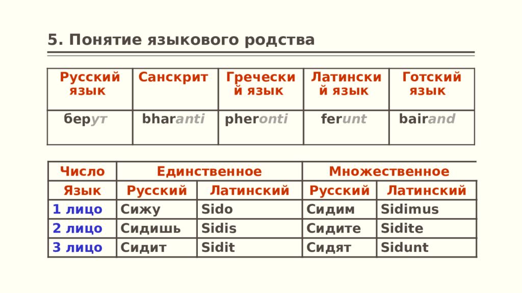 Пять понятий. Языковое родство. Языковое родство Языкознание. Формы объединения родственных языков. Понятие языкового родства примеры.