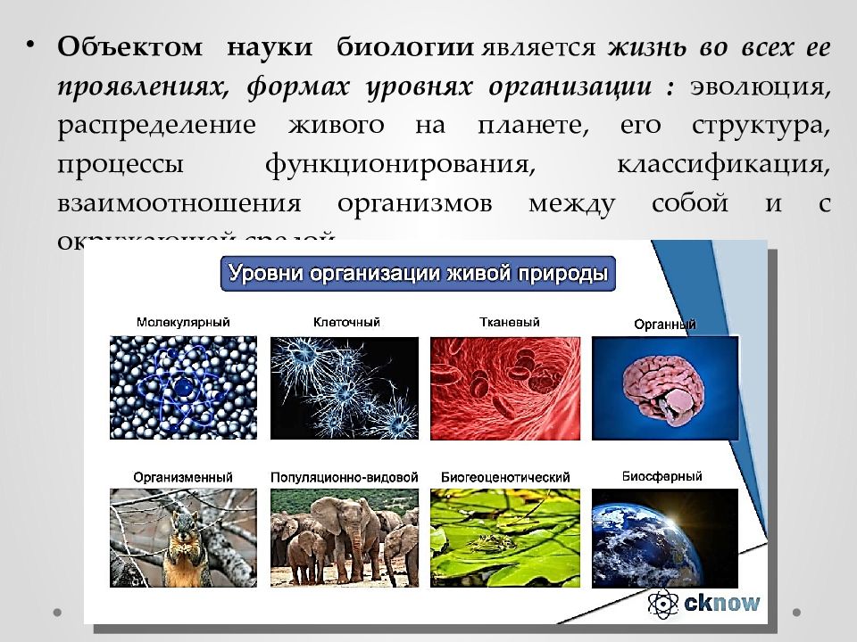 Методы познания природы биология