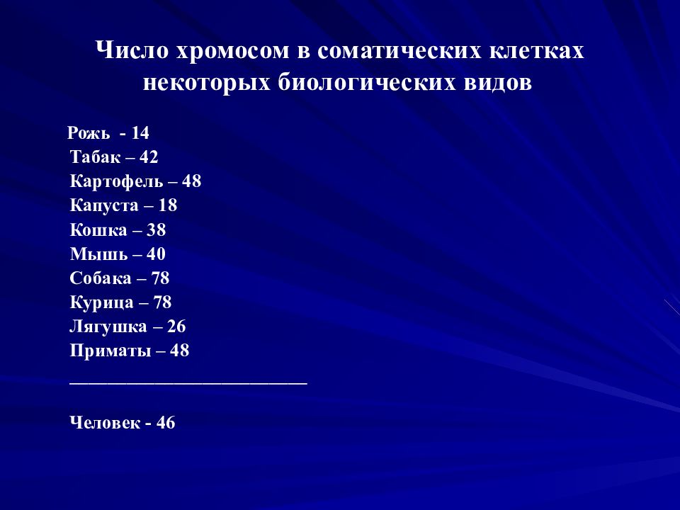 Определенным числом хромосом в соматических клетках